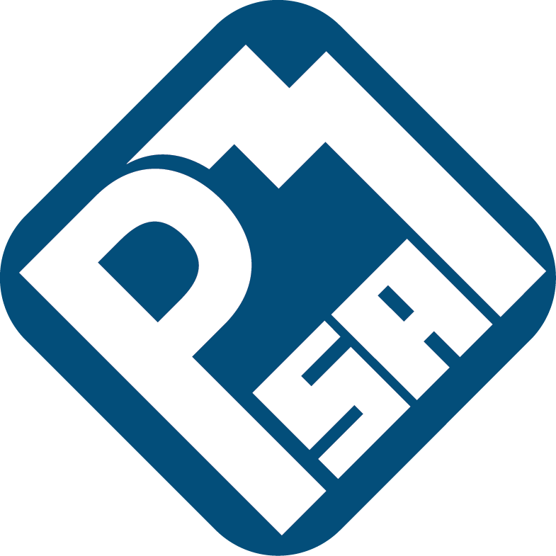 Project Management South Africa PMSA Logo