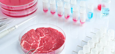 Food Safety Culture