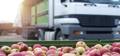Food services distribution
