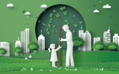 Environmental Auditing