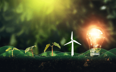 Implementing ISO 50001:2018 in your organisation to further save energy and improve sustainability