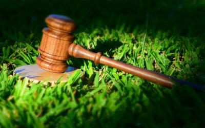 Legal Requirements Compliance in Terms of ISO 14001:2015