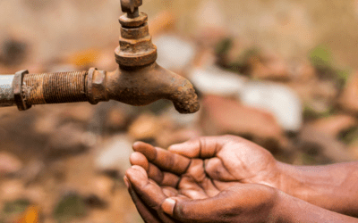 Why is South Africa’s waterhole drying up?